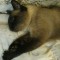 beeaa0b64ec84d979bff66cef6371379-img_2235.jpg