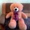 bfbbe399e9b0676d9ef8026e2315848e-foto0308.gif