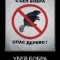 bober.jpg