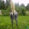 c1d4ac8ad82ee8f30fb8e63504605267-05830dd444a3.jpg