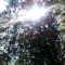 c42dfaa69fcc44be829c1ac17e35881d-img_20120803_162950.jpg