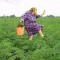 c6cb8b78f13677a71a311ea60f4ba2f6-babulya.jpeg