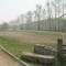 c8ec8ea90e923426cf77481dd98bdc99-img_4762.jpg