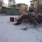 c9b449dd89dea91a75d55bc652fcbc00-p_20190101_163518_p1.jpg