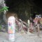 ca130a2c8c391764def0655beb2bb6c2-img_5246.jpg