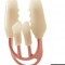 cfa35cc3c9afe556bf8bd5c71b2c942d-1376973200-67e7b3409f6bf98774bd41416f313b6c.jpg