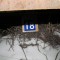 d476a1bd74790d854bbd6c1f570eb733-img_0102.jpg