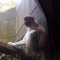 daccb1650a5ef373bc187a21ed437edc-p_20140205_164206.jpg