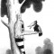 de1a6399fa9fbbc7273022652bf240c6-1327747967_comics-28012012-14.jpg