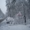 dsc00574.jpg
