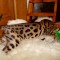 dsc01538.jpg