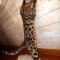dsc01542.jpg