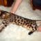 dsc01547.jpg