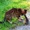 dsc02310.jpg