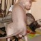 dsc02985_rs.jpg