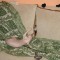 dsc02995_rs.jpg