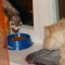 dsc03036_rs.jpg