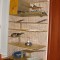 dsc04661.jpg