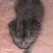 dsc08456.jpg