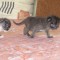 dsc08460.jpg