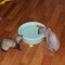 dsc09158_rs.jpg