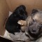 dscf3171.jpg