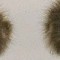 e19bce1e14a362cb54e0e4f7dc41e009-smile2.jpg