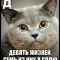 Кошачья Азбука: буква Д.jpg