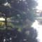 e7212e23f9db33855671490345a1d0a9-p_20130810_190032.jpg