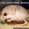 eb99074b4c38.jpg