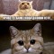 ec581a93b93441b8f57648dfd938ffc4-cat2.jpg