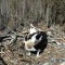 ec64df39077c1be857b4904ffbfc702c-21.04.2013_18.22.35_2.jpg