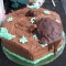 f11f942fd553cd52922ad5558870a82a-1293896872_008_24449_turd_cakes_08.jpg