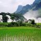 f2eab227a09e5e42881e2694e707a591-vietnam2.jpeg