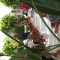 f44e7487329dcbd577c608d2d26f71b9-image.jpg
