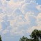 f5952627cad7a696306d50cf1f79d16d-img_1187.jpg