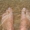 f6d30fed6ce2009f95d13e7d90cc2bcf-dscn1063.jpg