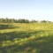 f8baf2e5cf08a9e9443b9595c0eb2c52-4.jpg