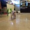 fb407c533d187f30134e03b2e3702d6d-img_0053.jpg