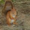 fb788a34a63429943911efc9b173cf6d-p8050014.jpg