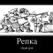 fc57f462bec81651e492073af8f41aba-1333923678_6931651_repka.jpg