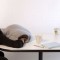 fe9072f94176e475df27e2c224db8897-1306415835_how_to_take_a_cozy_nap_03.jpg