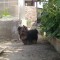 foto-0009.jpg