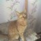 imya_011011_170347.jpg