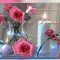 pic.gif