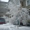 utro_29.04.2011.jpg