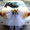 d6c726943.jpg