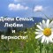 В День семьи, любви и верности в Иркутске поздравят молодоженов и супружеские пары