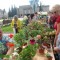 В Ангарске пройдет цветочный фестиваль