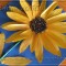 62f-p190l6ncco183c1jm36od8nt1m2ub.jpg